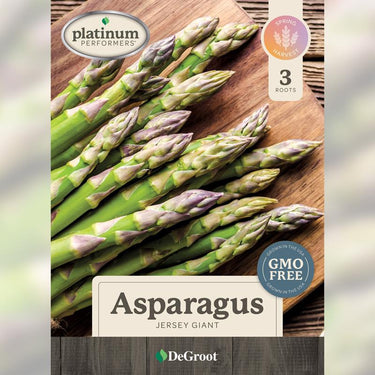 DeGroot Jersey Giant Asparagus Bulb 3 pk