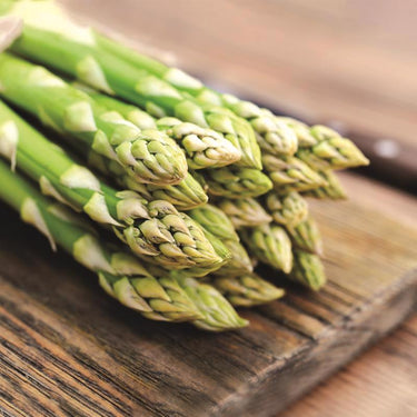 DeGroot Jersey Giant Asparagus Bulb 3 pk