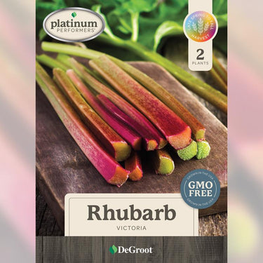 DeGroot Victoria Rhubarb Bulb 2 pk
