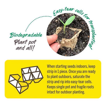 Jiffy 10 Cells 4 in. H X 10 in. W X 4 in. L Seed Starting Peat Pot 5 pk