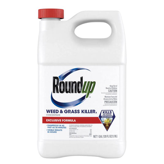 Roundup Weed and Grass Killer Concentrate 1 gal