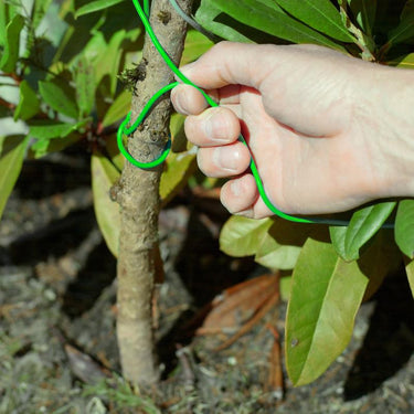 Panacea Green Coated Wire Plant Tie