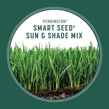 Pennington Smart Seed Mixed Full Sun/Medium Shade Grass Seed 7 lb