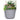 L&G 9.33 in. H X 12 in. W X 12 in. D X 12 in. D Polyresin Finola Planter Cement