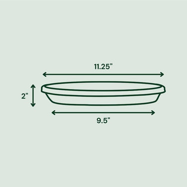 Bloem Terra 2 in. H X 9.5 in. W X 11.25 in. D Plastic Traditional Plant Saucer Green