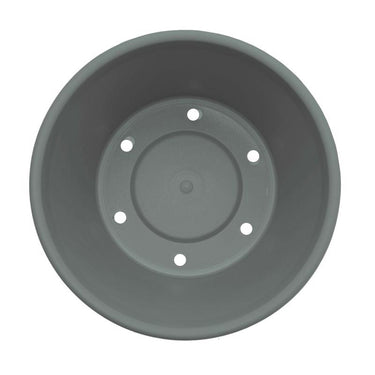 Bloem Terra 5.5 in. H X 6.5 in. W X 4.5 in. D Plastic Traditional Planter Basil