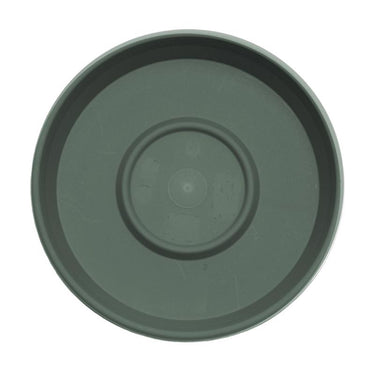 Bloem Terra 1 in. H X 5.5 in. W X 4.75 in. D Plastic Traditional Plant Saucer Basil
