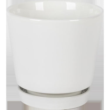 Border Concepts 10 in. D Ceramic Flair Saucer Planter White