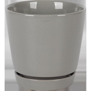 Border Concepts 6 in. D Ceramic Flair Saucer Planter Grey