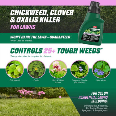 Ortho Chickweed, Clover & Oxalis Killer Concentrate 16 fl. oz.