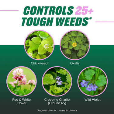 Ortho Chickweed, Clover & Oxalis Killer Concentrate 16 fl. oz.