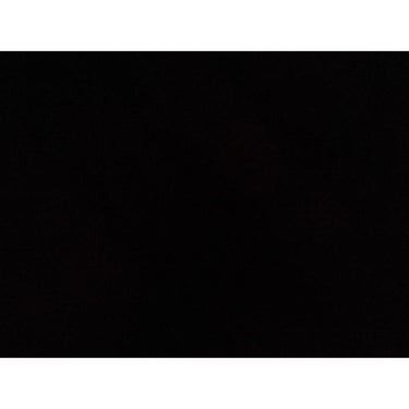 Ace 32 gal Black Plastic Garbage Can Lid Included