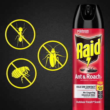 Raid Insect Killer Aerosol 17.5 oz