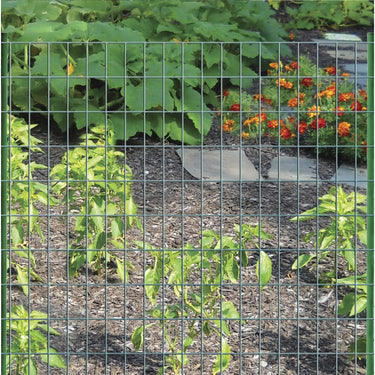 Garden Craft 36 in. H X 50 ft. L Steel Welded 2 x 3 in.