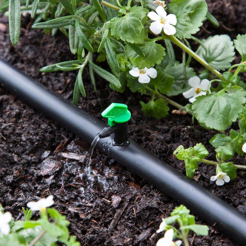 Load image into Gallery viewer, Raindrip Spot Drip Irrigation Dripper 2 gph 10 pk
