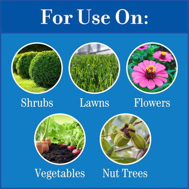 Lilly Miller All-Purpose Lawn Fertilizer For All Grasses 8000 sq ft