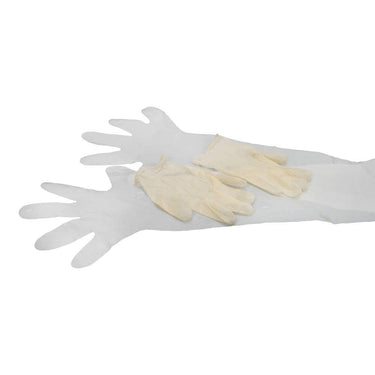 Allen Field Dressing Gloves (2 Pack)