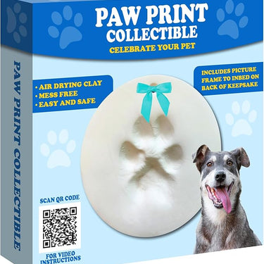 Pet Paw Print Ornament Kit