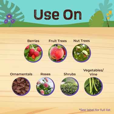 Bonide Tomato & Vegetable 3 in 1 Organic 3 in 1 Garden Insect Spray Liquid 32 oz