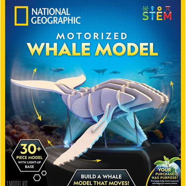 National Geographic Motorized Whale Model