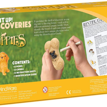 MindWare Dig it Up! Puppies Excavation Kit