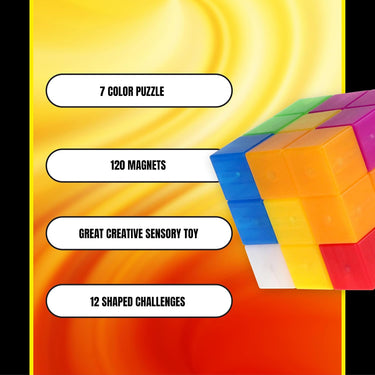 Duncan Magnetic Block Brain-Teaser Puzzle