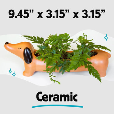 Kikkerland Daisy The Dachshund Porcelain Dog Planter