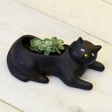 Kikkerland Cosmo The Black Cat Porcelain Planter