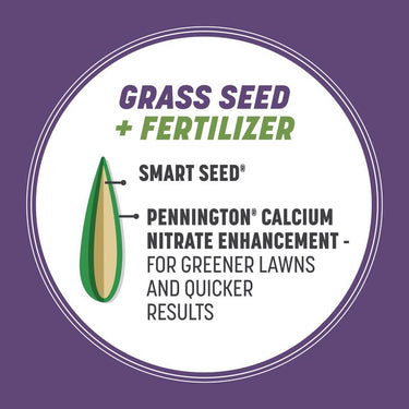 Pennington Smart Seed Mixed Dense Shade Grass Seed and Fertilizer 3 lb