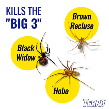 TERRO Spider Killer Aerosol 16 oz