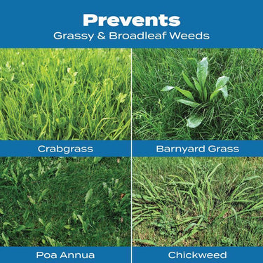 Scotts Turf Builder Halts Crabgrass Preventer Lawn Food For Multiple Grass Types 15000 sq ft