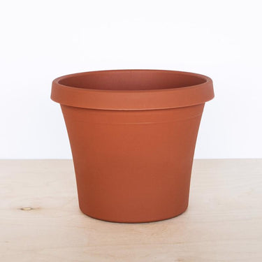 Bloem Terra 10.75 in. H X 9 in. W X 13 in. D Resin Traditional Planter Terra Cotta