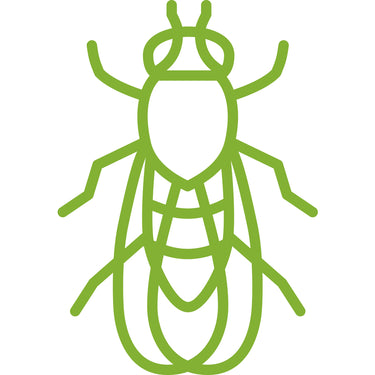 BUGG BUGGINS Original Insect Repellent Liquid For Gnats/No-See-Ums 4 oz
