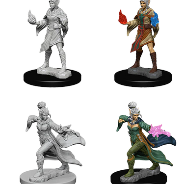 Pathfinder Deep Cuts Unpainted Miniatures: W01 Elf Female Sorcerer