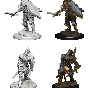 Dungeons & Dragons Nolzur`s Marvelous Unpainted Miniatures: W3 Human Male Paladin