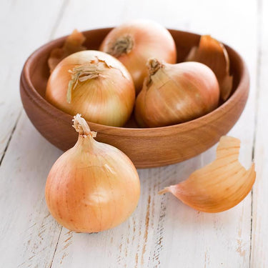 DeGroot Platinum Performers Yellow Stuttgarter Onion Bulb 80 pk