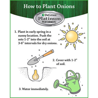 DeGroot Platinum Performers Red Onion Bulb 80 pk
