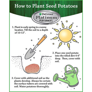 DeGroot Platinum Performers Kennebec Potato Seeds 6 pk