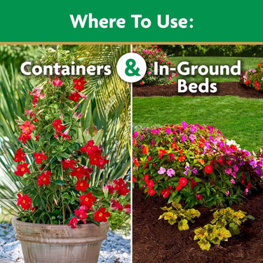 Miracle-Gro Bloom Booster Powder Plant Food 4 lb