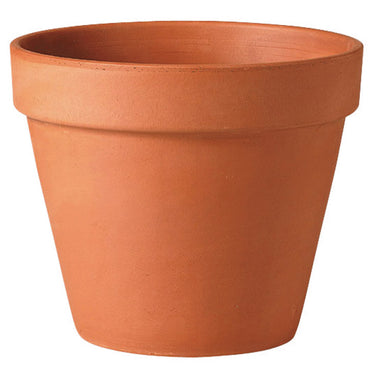 Deroma 4 in. D Clay Standard Planter Terracotta
