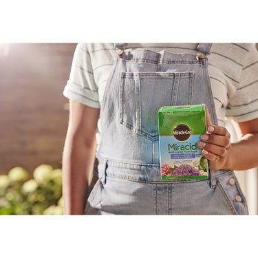 Miracle-Gro Miracid Powder Plant Food 1 lb