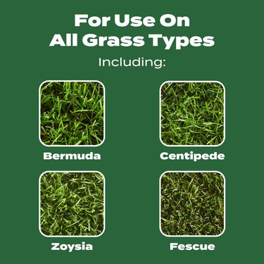 Scotts Turf Builder All-Purpose Lawn Food For All Grasses 5000 sq ft