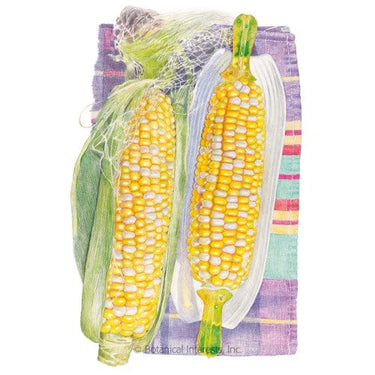 Botanical Interests Honey and Cream Sweet Corn Seeds