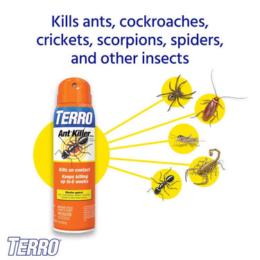 TERRO Ant Killer Liquid 16 oz
