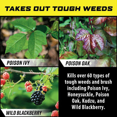 Ortho GroundClear Poison Ivy Killer RTU Liquid 24 oz