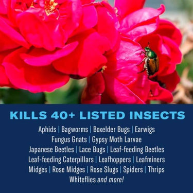 BioAdvanced Dual Action Rose and Flower Insect Killer Continuous Spray 15.7 oz