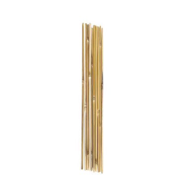 ATC 24 in. H Natural Bamboo Garden Stakes