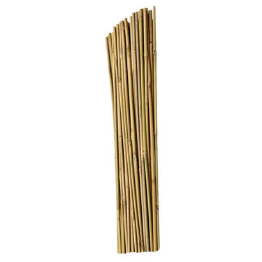 ATC 60 in. H X 3/8 in. W Natural Bamboo Garden Stakes