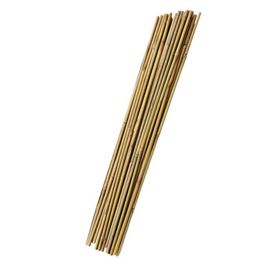 ATC 72 in. H X 1/2 in. W Natural Bamboo Garden Stakes