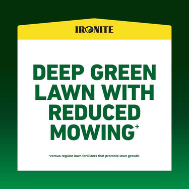 Pennington Ironite All-Purpose Lawn Fertilizer For All Grasses 5000 sq ft